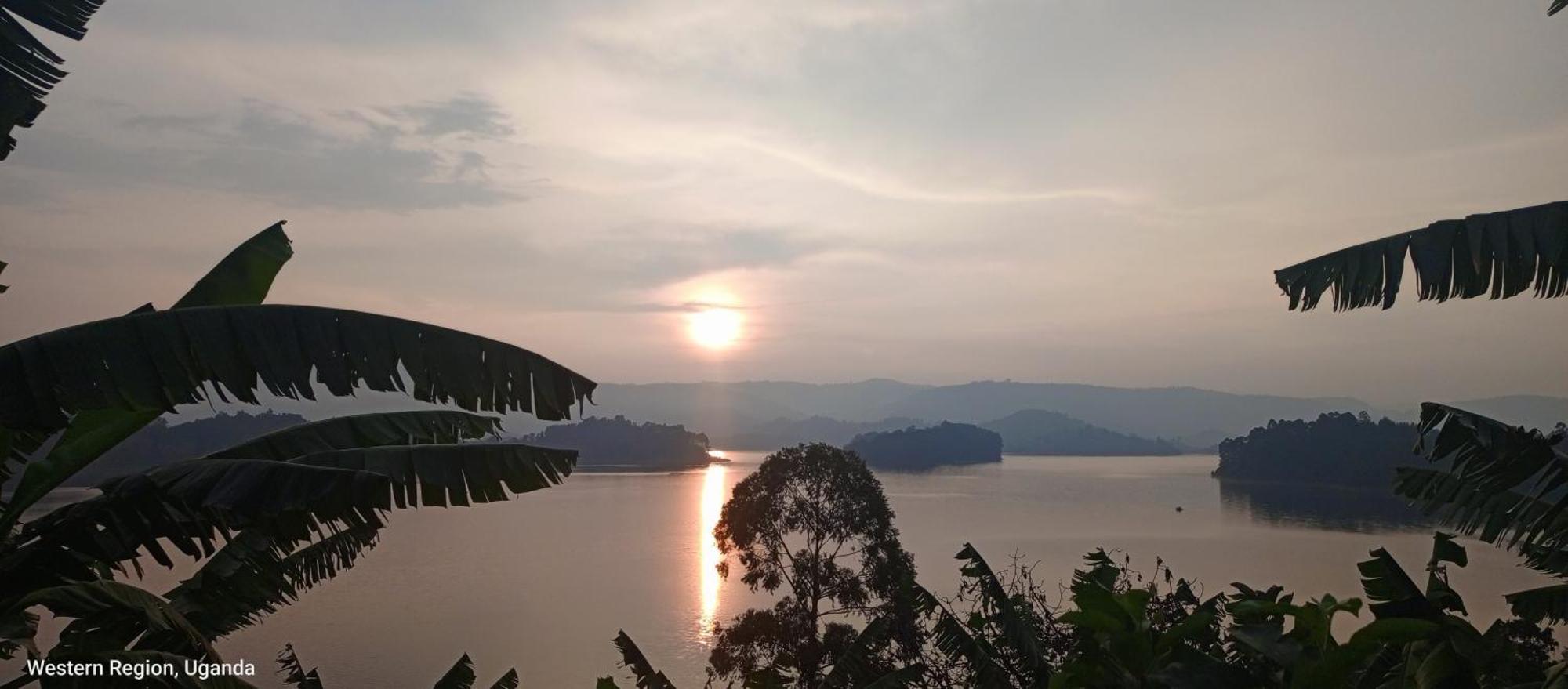 View Bunyonyi *