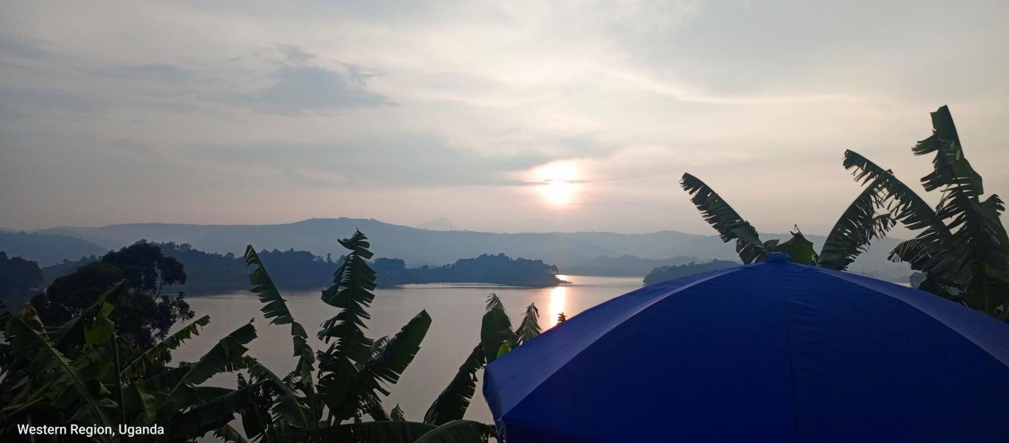 Villa View Bunyonyi