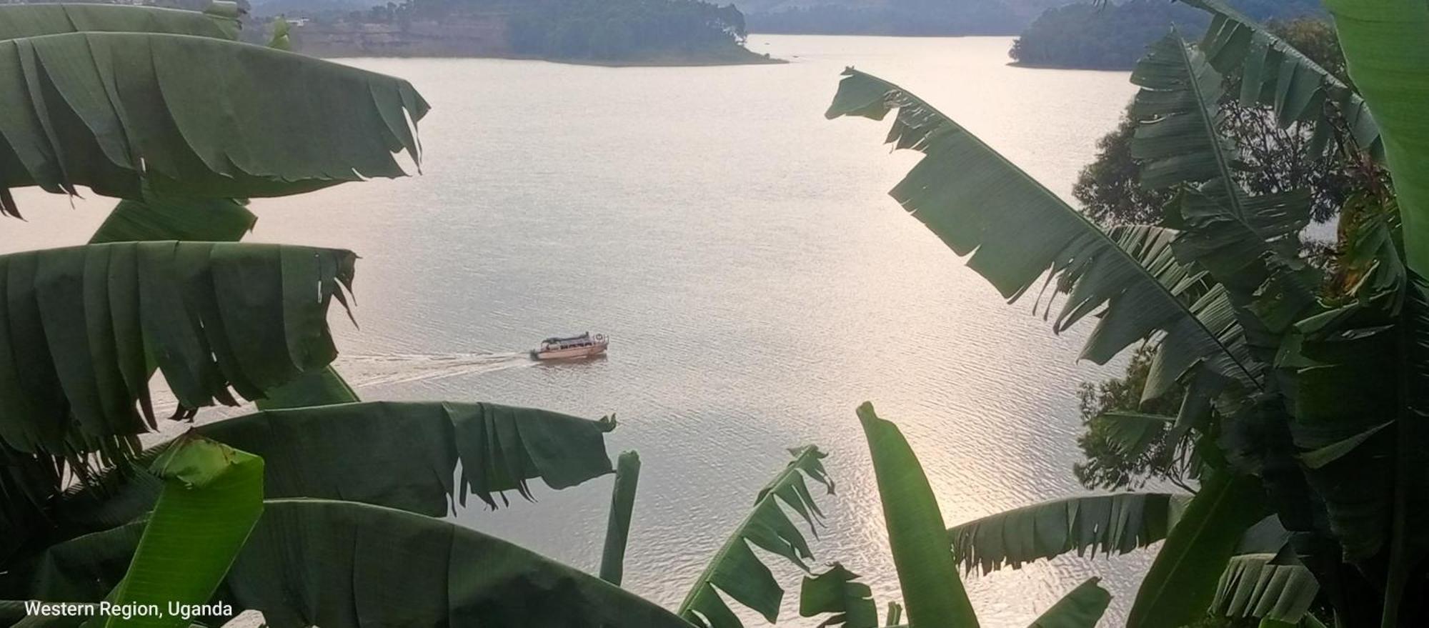 Villa View Bunyonyi